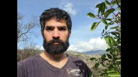 Vlog： the hut's third Greek strawberry tree by Protesilaos