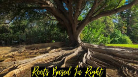 Roots Based In Right by Brandon Spencer
